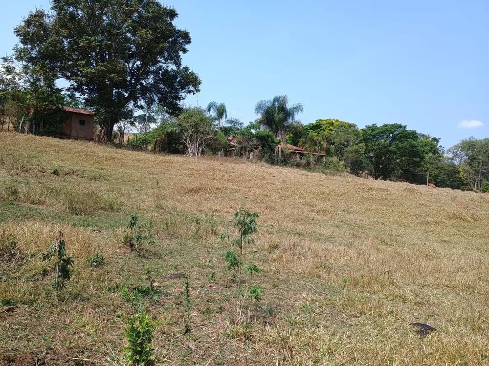 Fazenda, 42 hectares - Foto 9