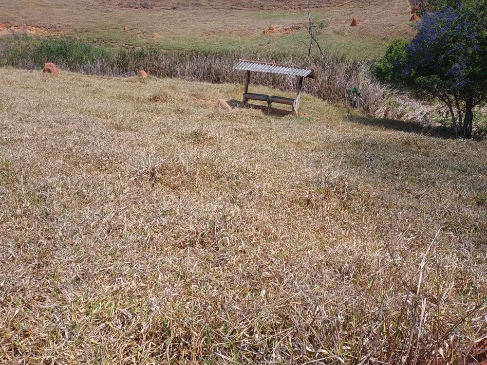 Fazenda, 42 hectares - Foto 16