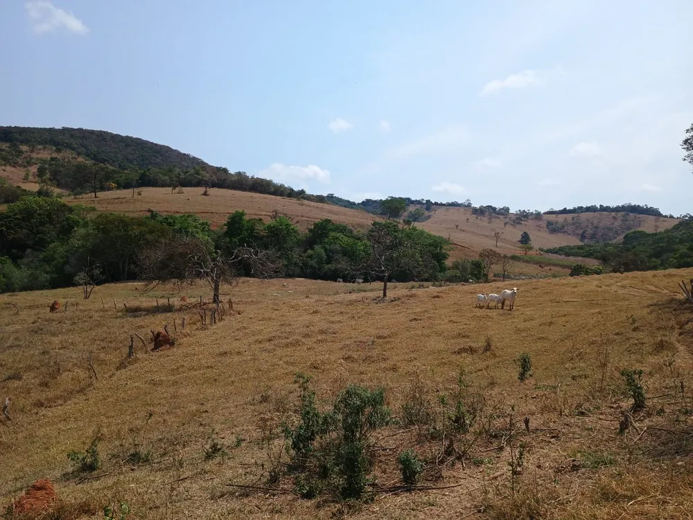 Fazenda, 42 hectares - Foto 18