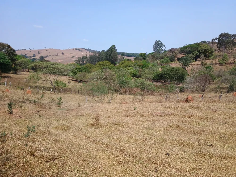 Fazenda, 42 hectares - Foto 15