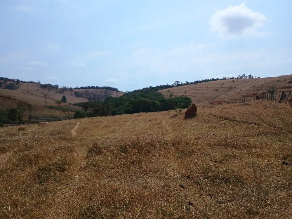 Fazenda, 42 hectares - Foto 13