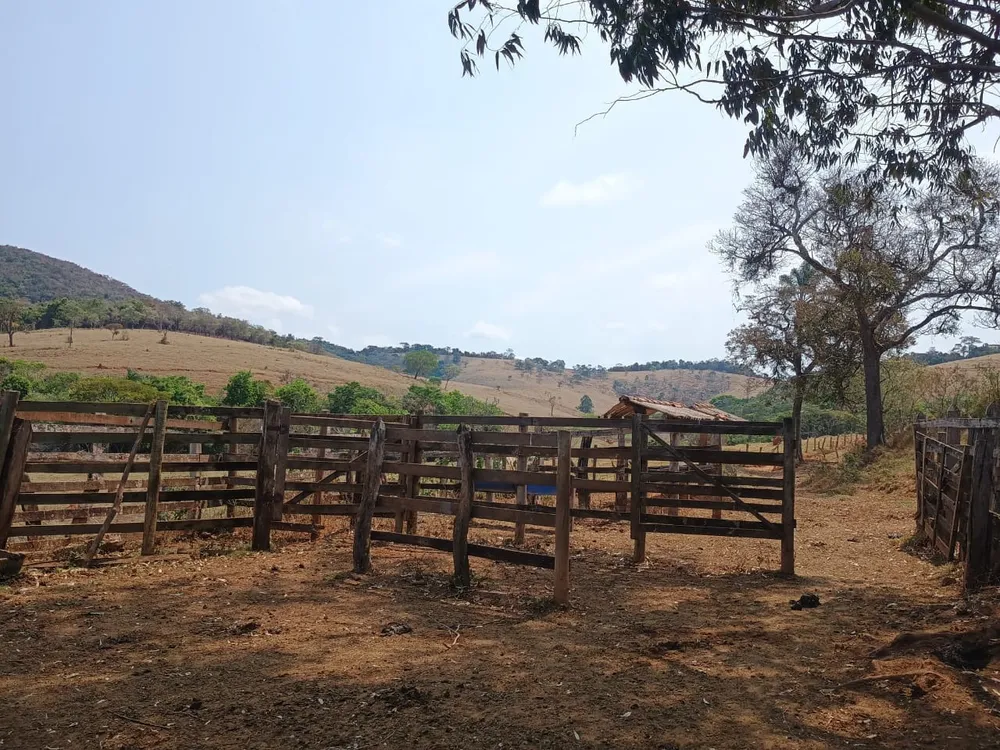 Fazenda, 42 hectares - Foto 20