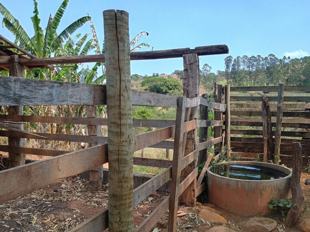 Fazenda, 42 hectares - Foto 21