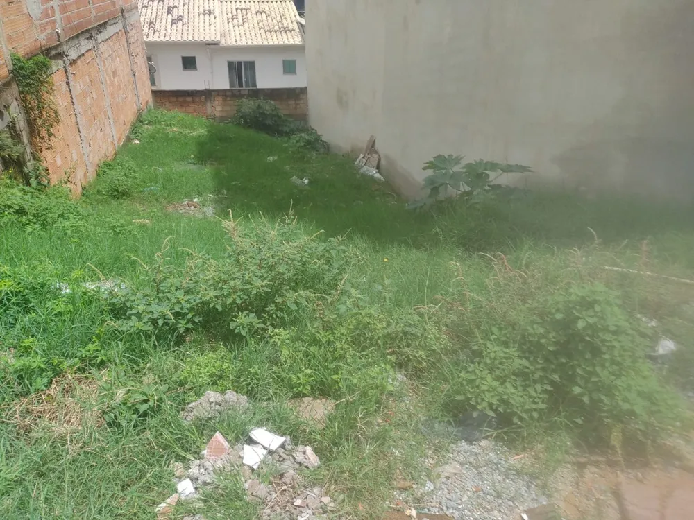 Terreno, 100 m² - Foto 2