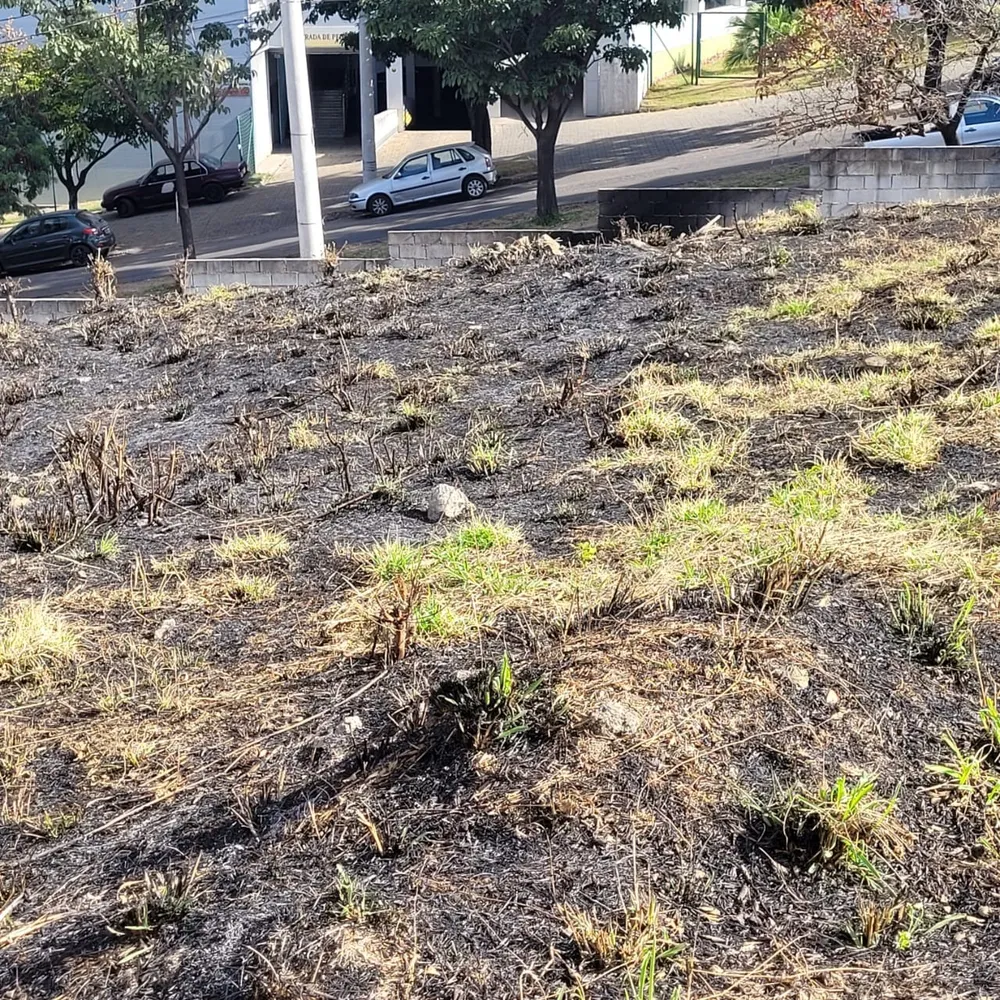 Terreno, 1981 m² - Foto 10