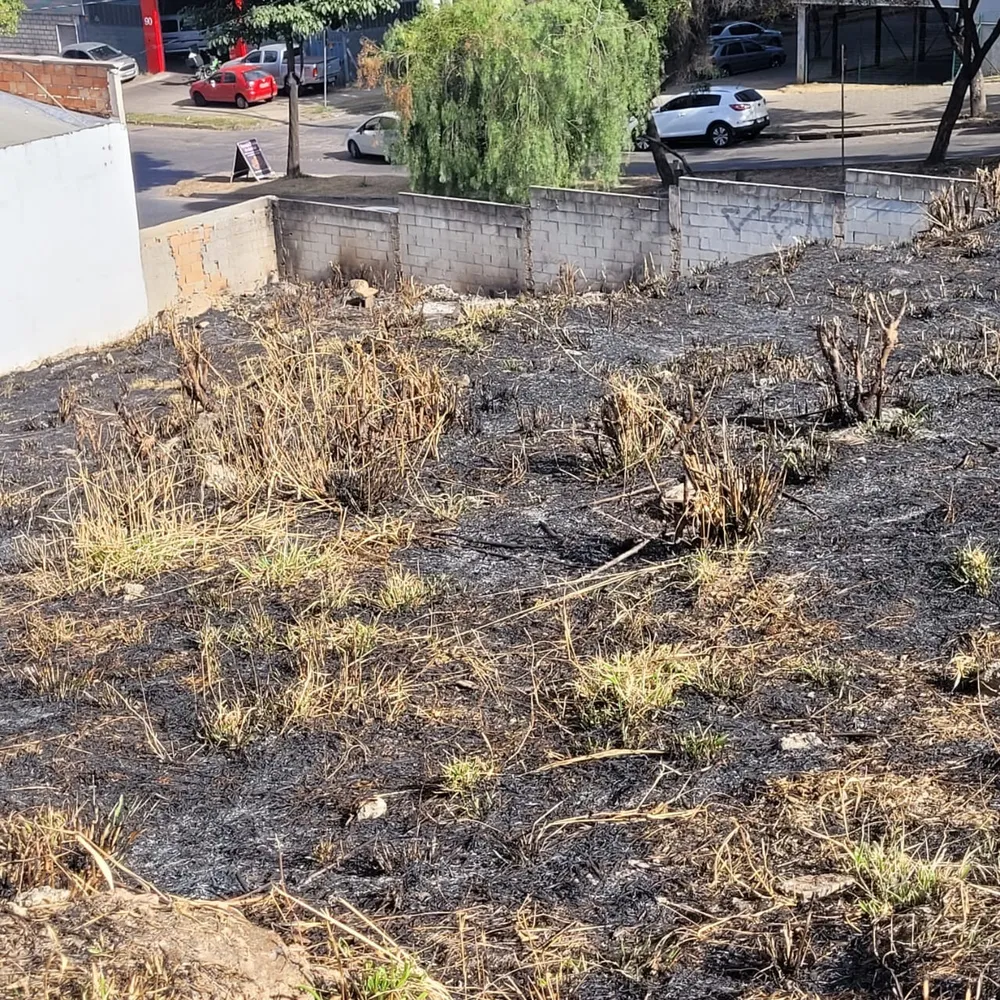 Terreno, 1981 m² - Foto 5