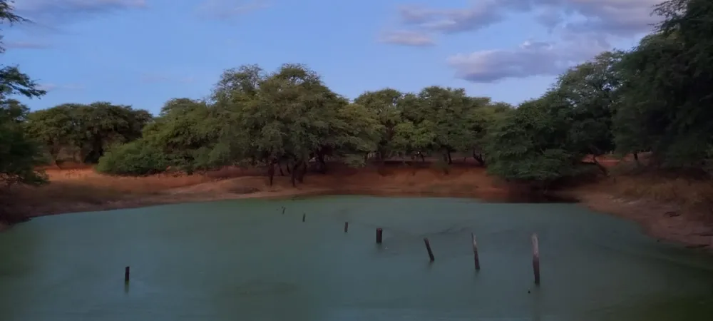 Fazenda, 2 quartos - Foto 7