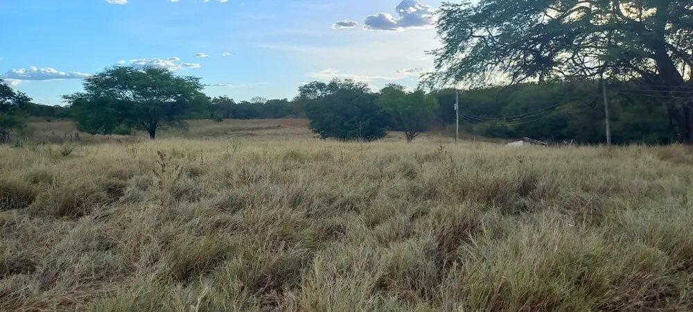 Fazenda, 2 quartos - Foto 5