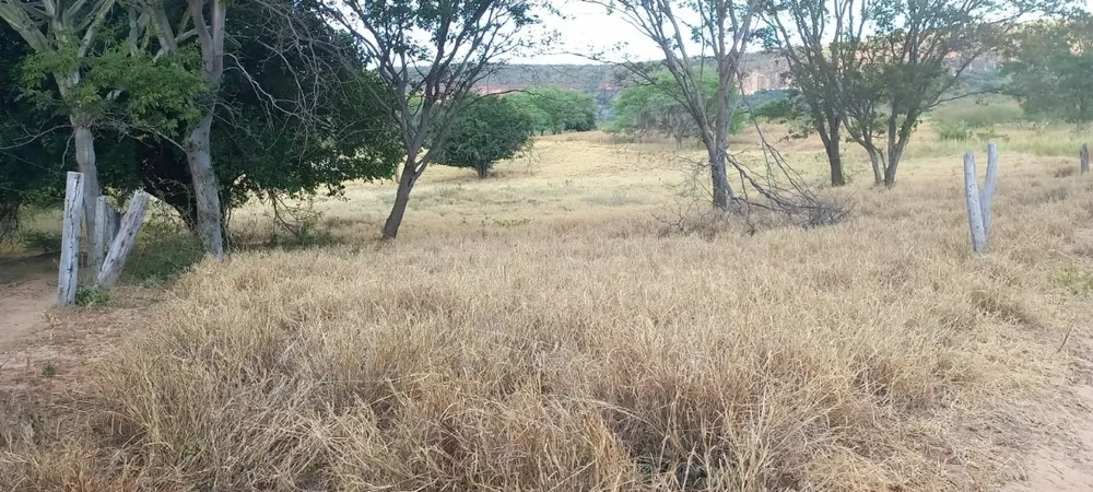 Fazenda, 2 quartos - Foto 2