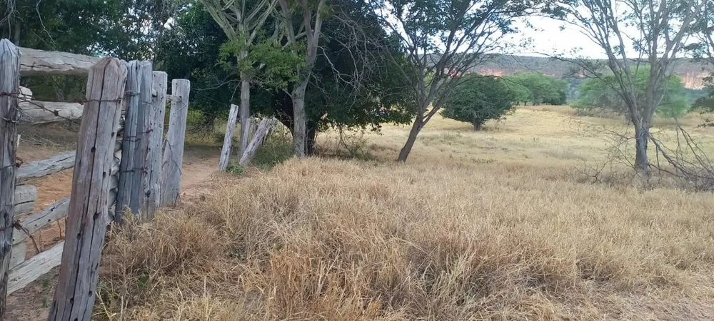 Fazenda, 2 quartos - Foto 3