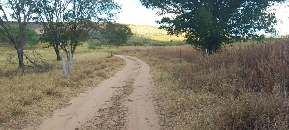 Fazenda, 2 quartos - Foto 4