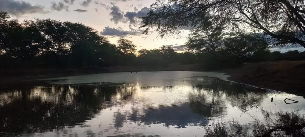 Fazenda, 2 quartos - Foto 1