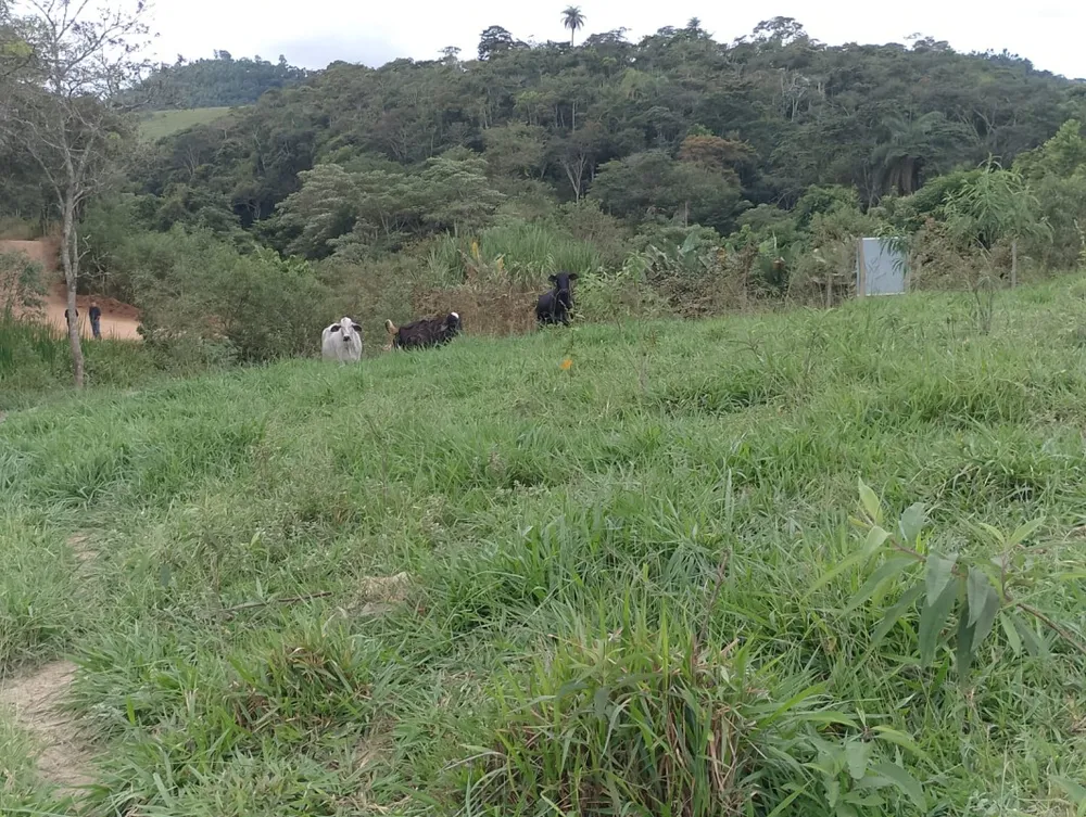 Fazenda, 1 quarto - Foto 15