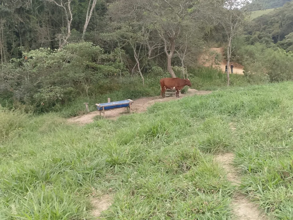 Fazenda, 1 quarto - Foto 17