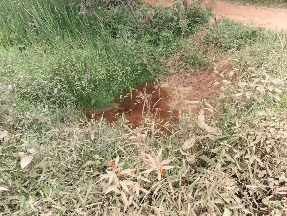 Fazenda, 1 quarto - Foto 16