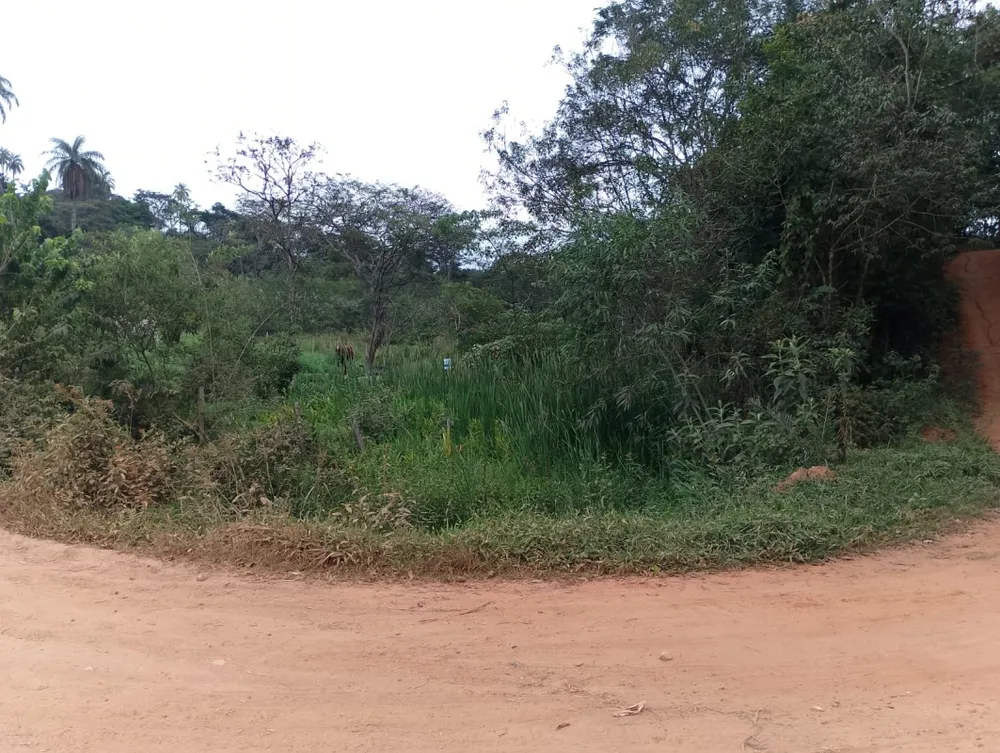 Fazenda, 1 quarto - Foto 4