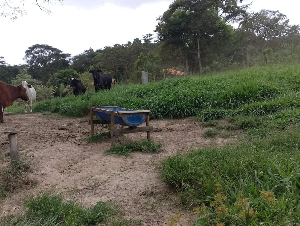 Fazenda, 1 quarto - Foto 10