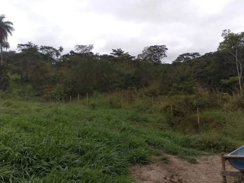 Fazenda, 1 quarto - Foto 12