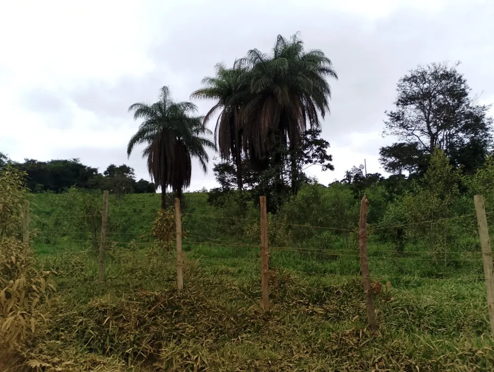 Fazenda, 1 quarto - Foto 3