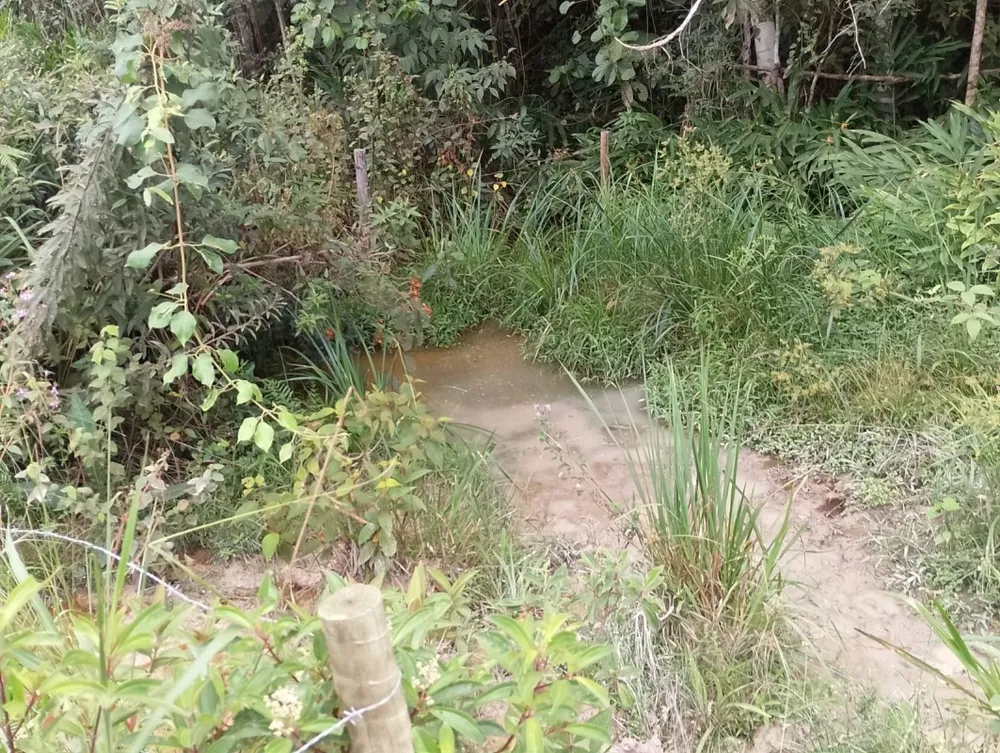 Fazenda, 1 quarto - Foto 13