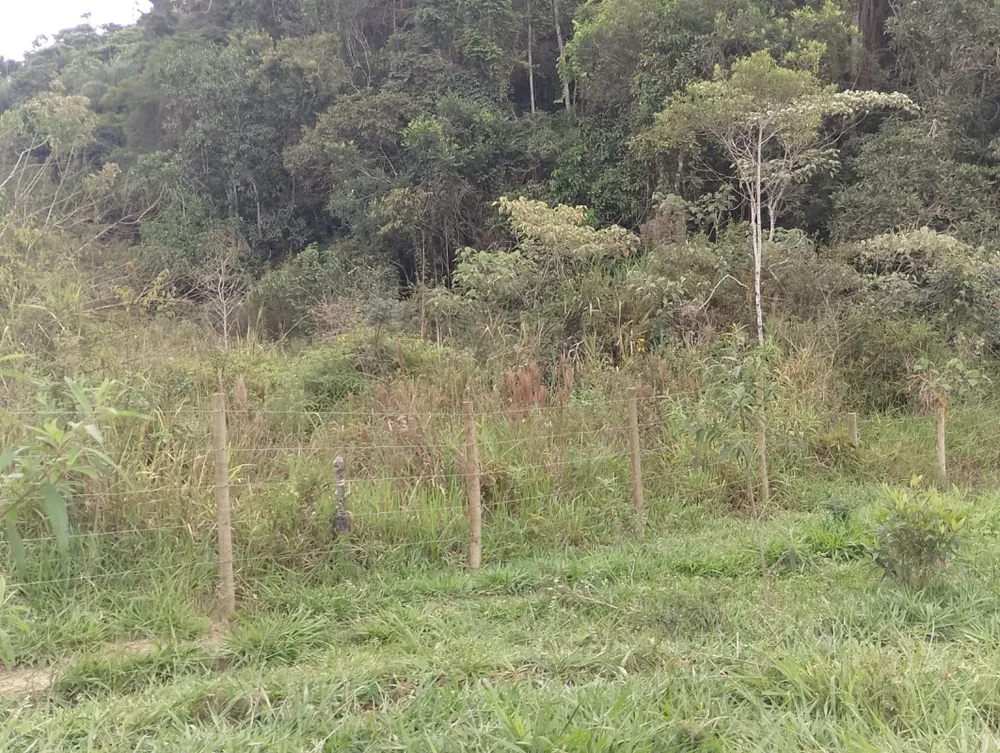 Fazenda, 1 quarto - Foto 6