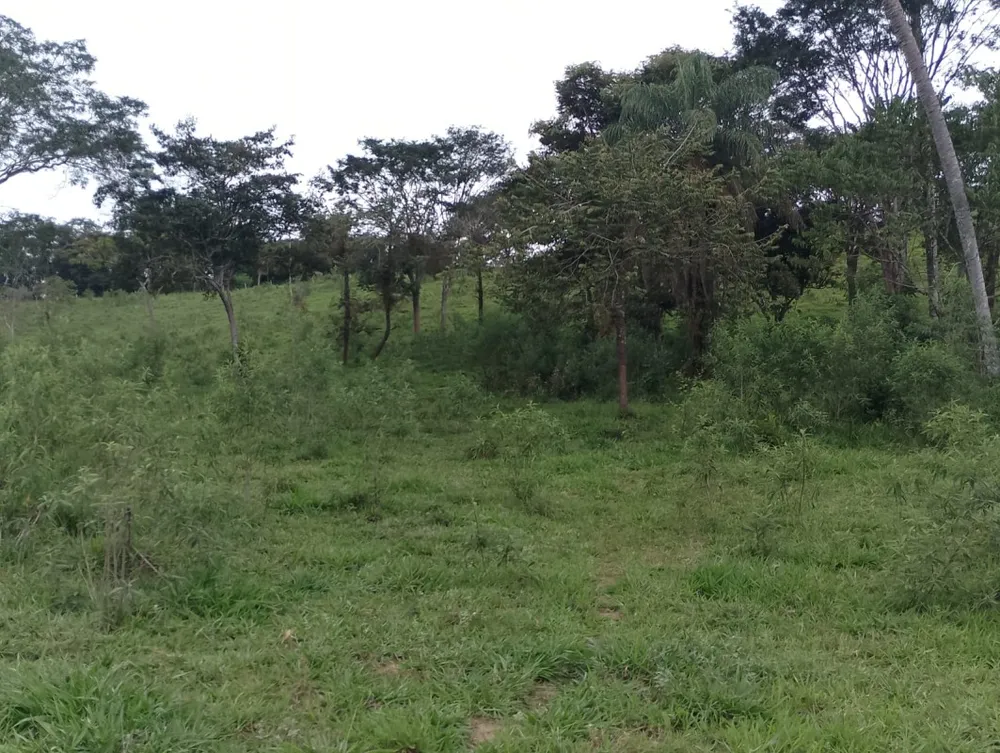 Fazenda, 1 quarto - Foto 18