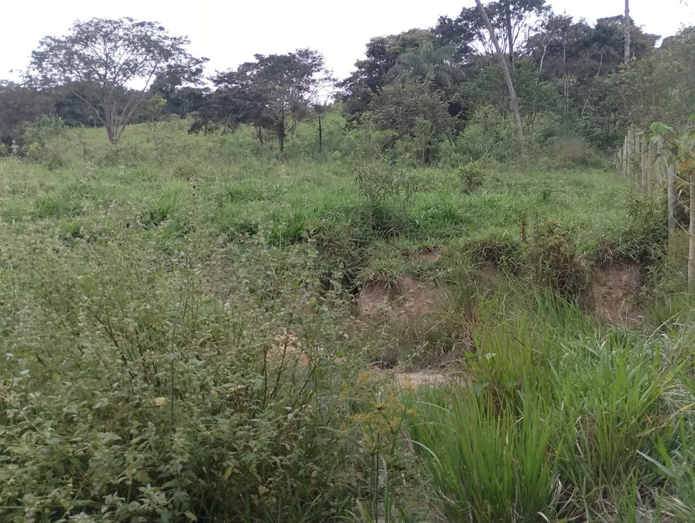 Fazenda, 1 quarto - Foto 11