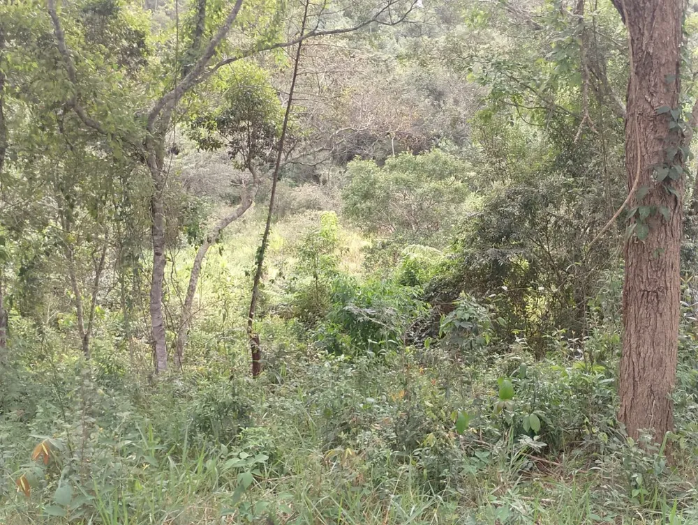 Fazenda, 1 quarto - Foto 8