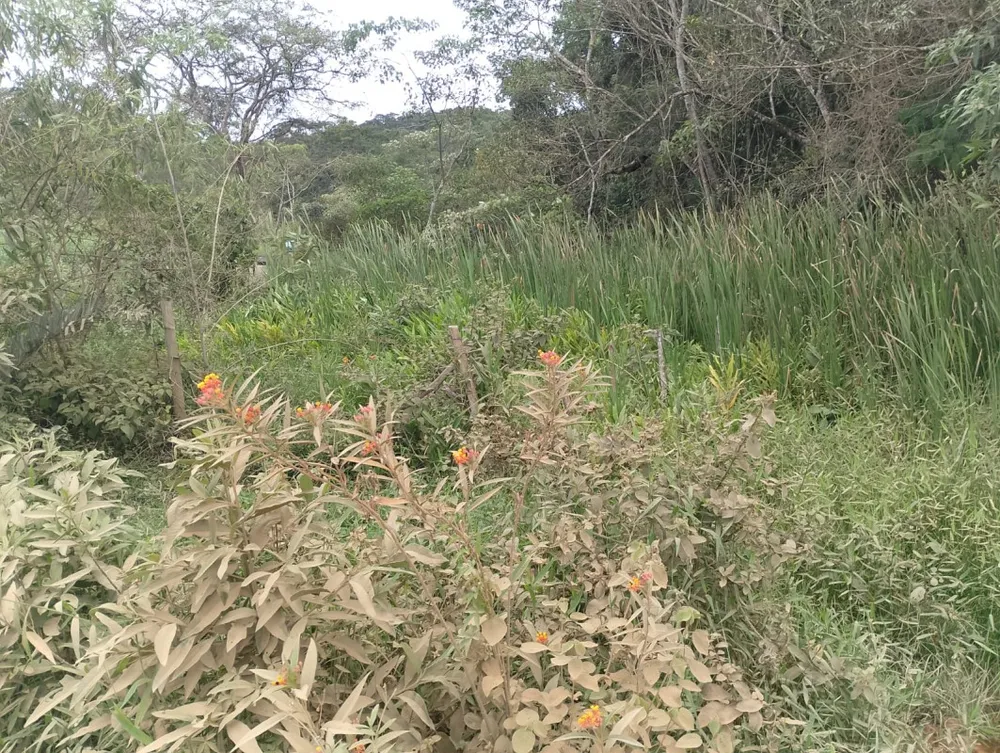 Fazenda, 1 quarto - Foto 5