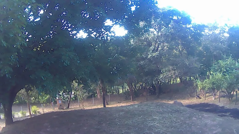 Chácara, 2 quartos - Foto 5