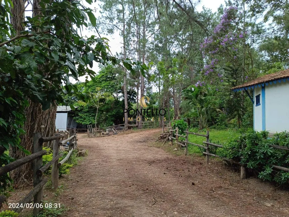 Fazenda, 204 hectares - Foto 7