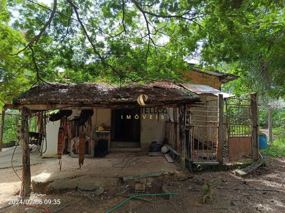 Fazenda, 204 hectares - Foto 14