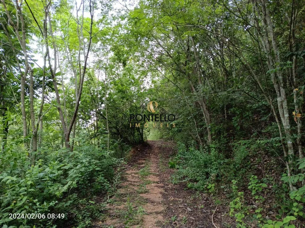 Fazenda, 204 hectares - Foto 16