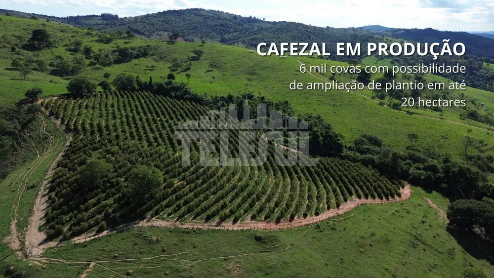 Fazenda, 4 quartos - Foto 10