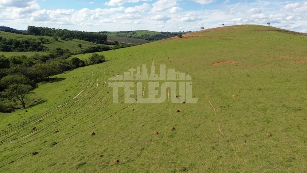 Fazenda, 4 quartos - Foto 6