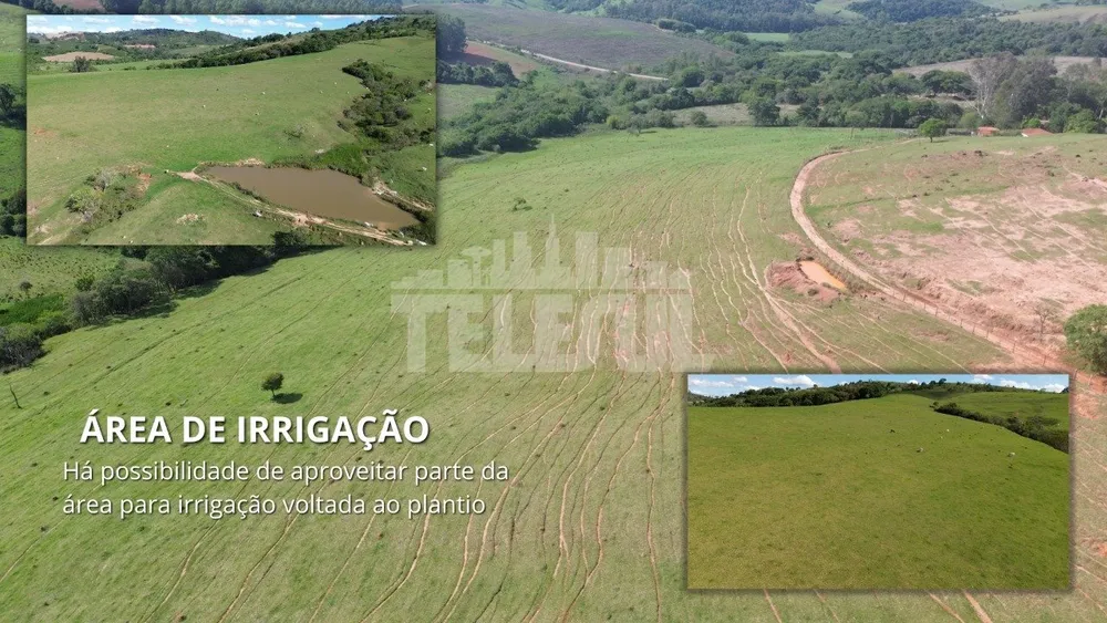 Fazenda, 4 quartos - Foto 11