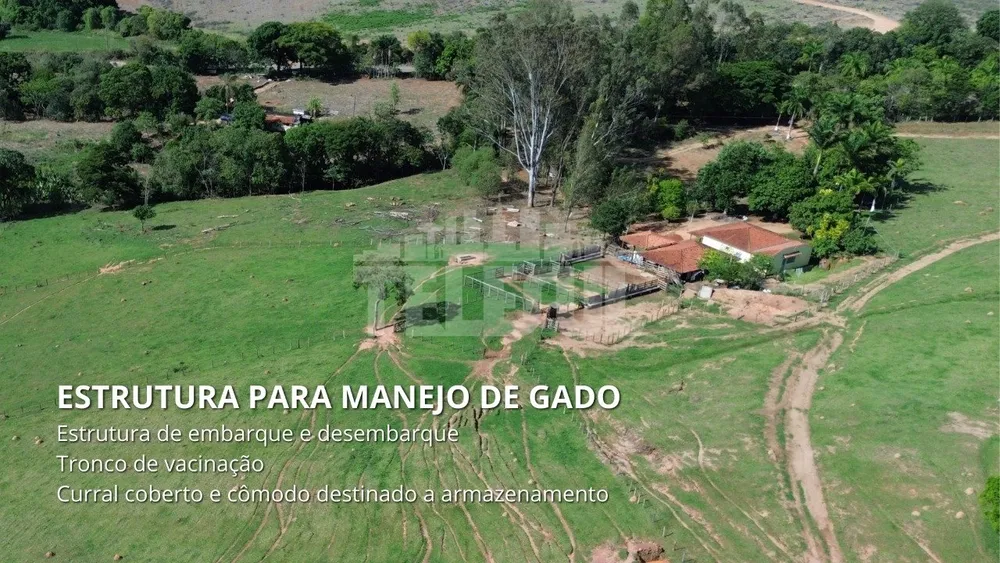 Fazenda, 4 quartos - Foto 7