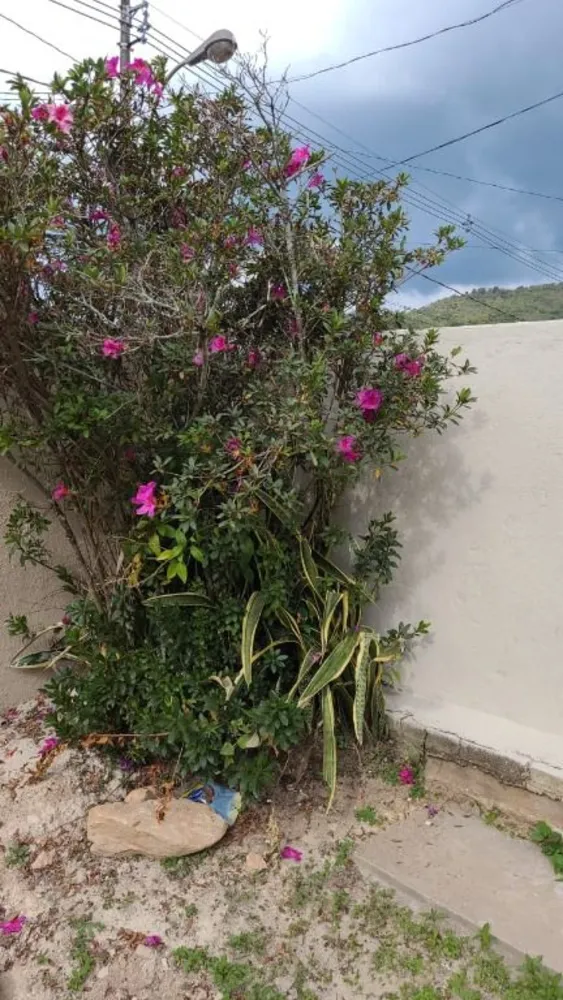 Casa, 4 quartos, 420 m² - Foto 2