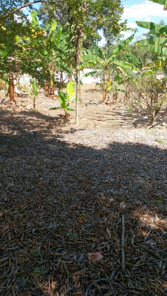 Chácara, 3 quartos, 8000 m² - Foto 6