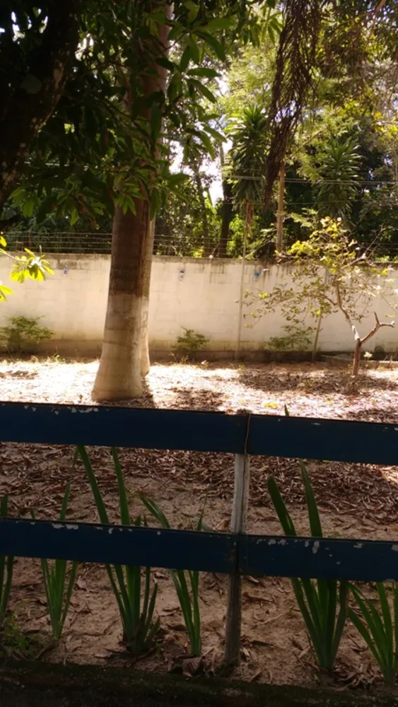 Chácara, 3 quartos, 8000 m² - Foto 7