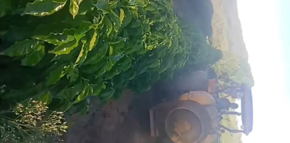 Fazenda, 200 hectares - Foto 1
