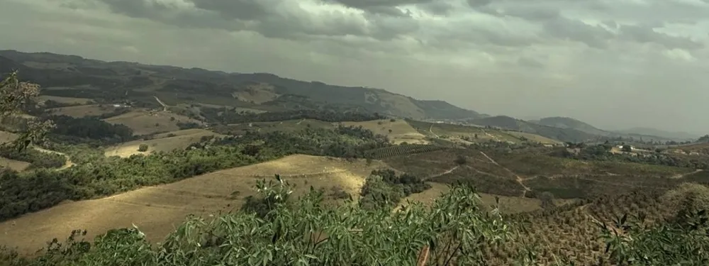 Fazenda, 250 hectares - Foto 19