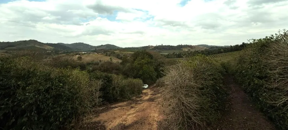Fazenda, 250 hectares - Foto 13