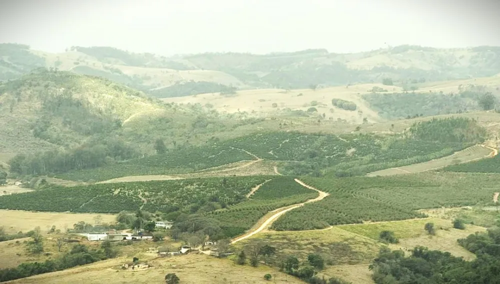 Fazenda, 250 hectares - Foto 6