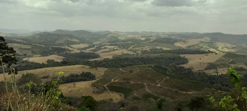 Fazenda, 250 hectares - Foto 17