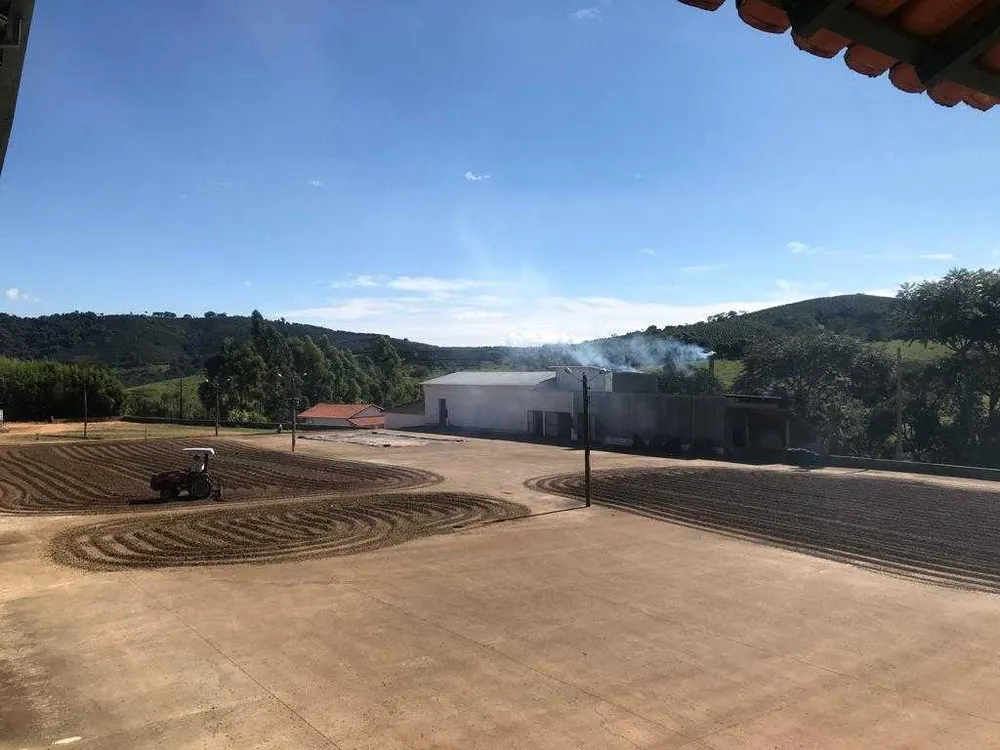 Fazenda, 250 hectares - Foto 8