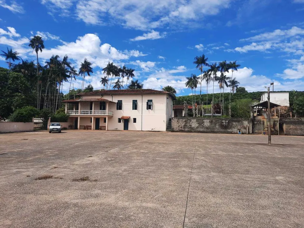 Fazenda, 250 hectares - Foto 23