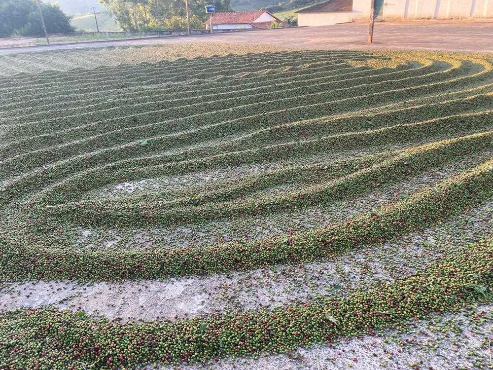 Fazenda, 250 hectares - Foto 14