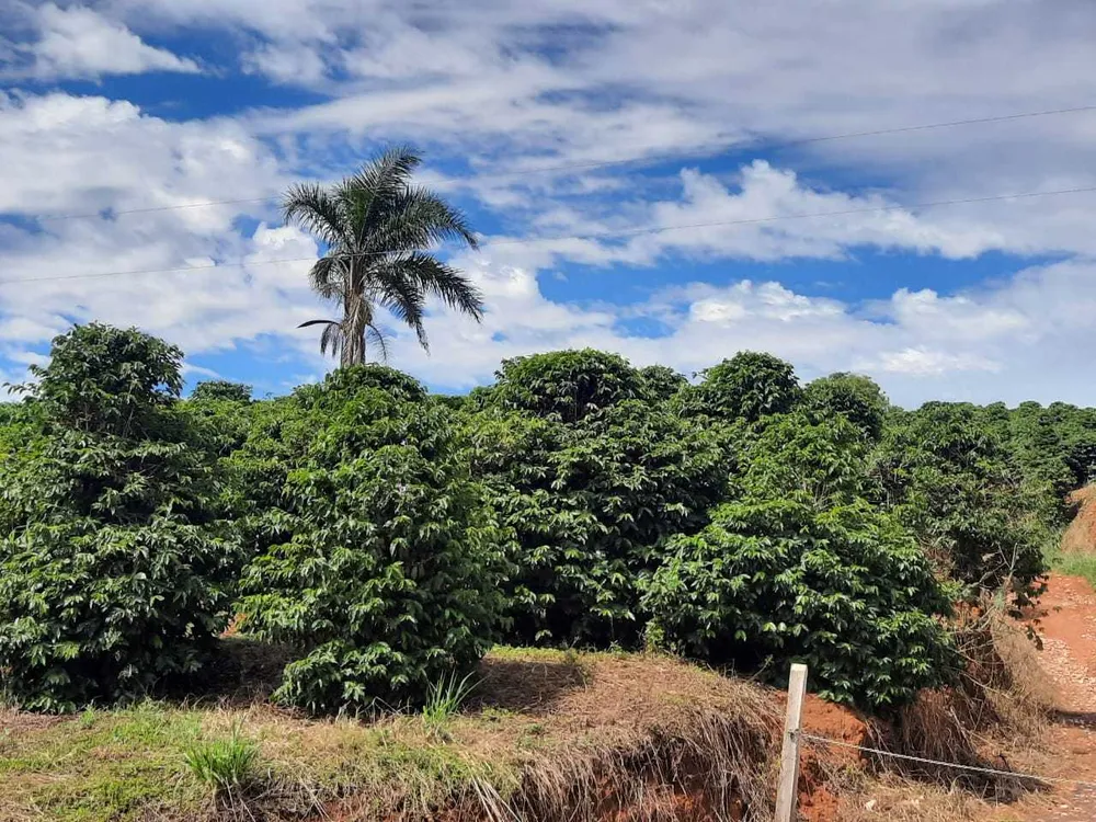 Fazenda, 250 hectares - Foto 12
