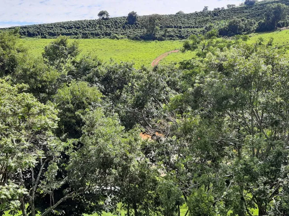 Fazenda, 250 hectares - Foto 7